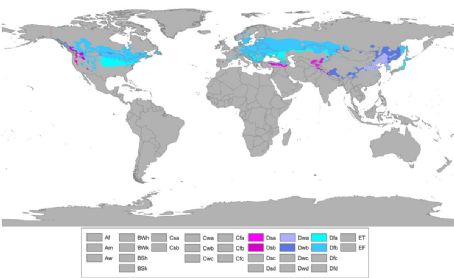 List of Plants of humid continental climate - FamousFix List