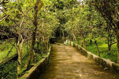 Sukorambi Botanical Garden