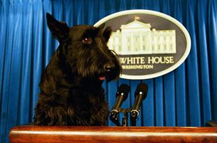 Barney (White House Pet)