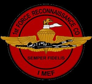 List of United States Marine Corps Force Reconnaissance - FamousFix List