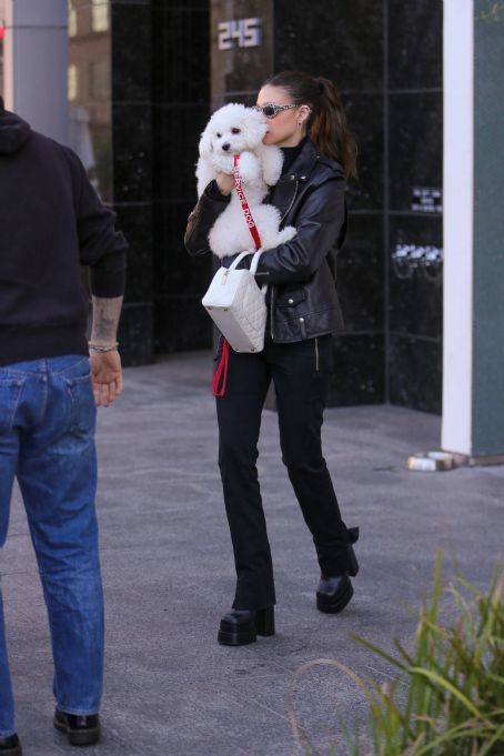 Nicola Peltz – Seen with her dog at Sweetgreen health food restaurant in Beverly Hills