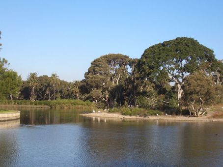 Centennial Park (Sydney)
