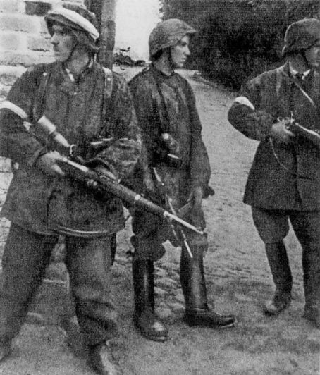 Raid on Mittenheide