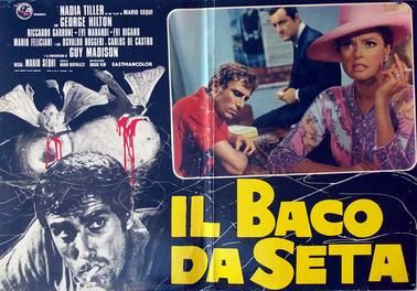 Il baco da seta