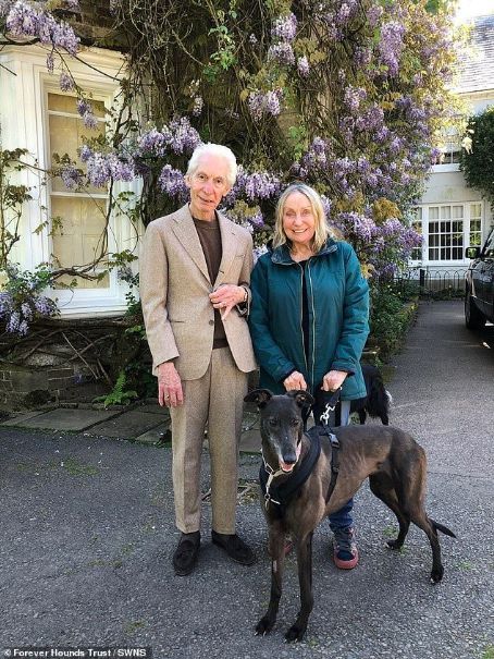 The Rolling Stones' Charlie Watts and wife Shirley adopt five-year-old greyhound Suzie