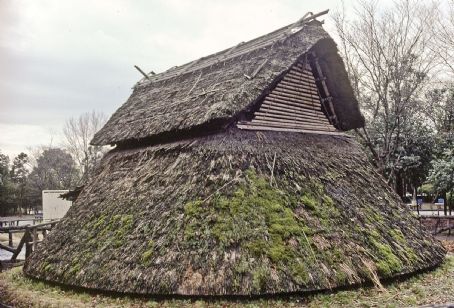 Toro (archaeological site)