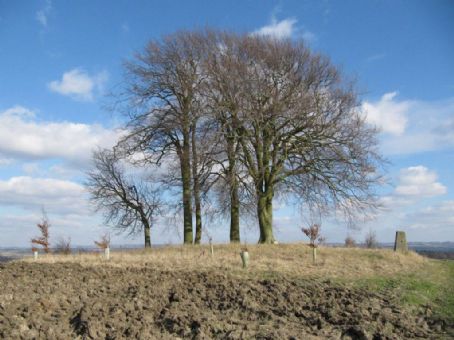 Brightwell Barrow
