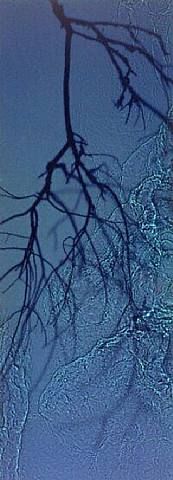 Susan Derges