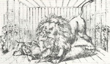 Lion-baiting
