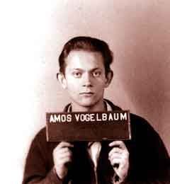 Amos Vogel