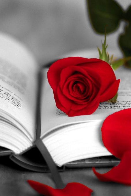 The Day of Books and Roses