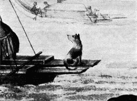 Tahitian Dog