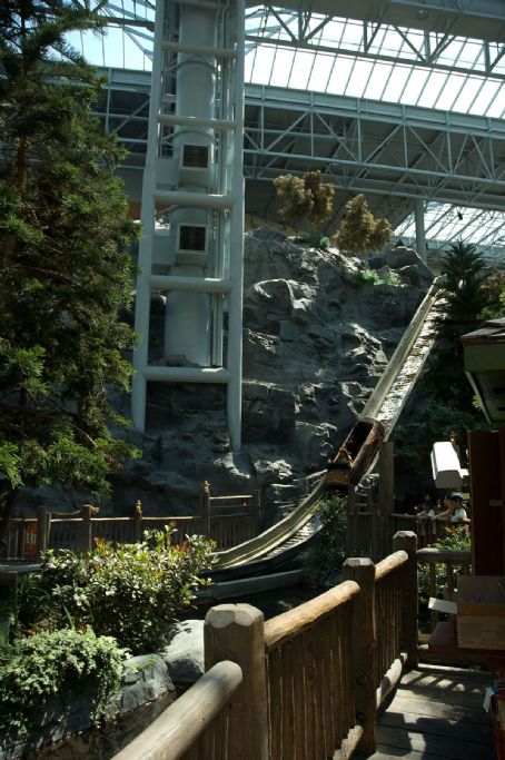 Log Chute