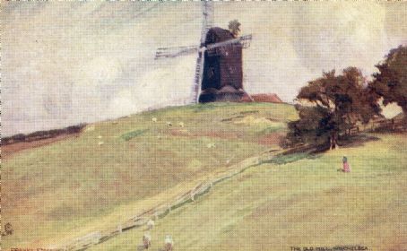 St Leonard's Mill, Winchelsea