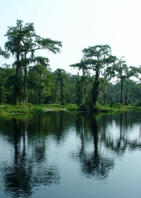 Wakulla Springs