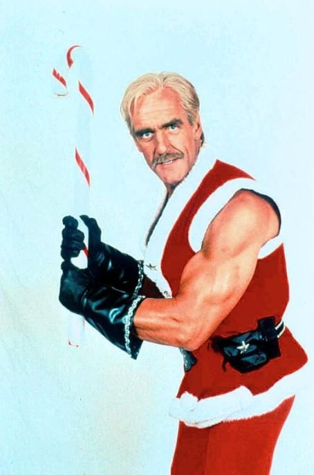 Hulk Hogan Filmography, List of Hulk Hogan Movies and Shows - FamousFix