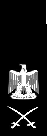 Mansour el-Essawy
