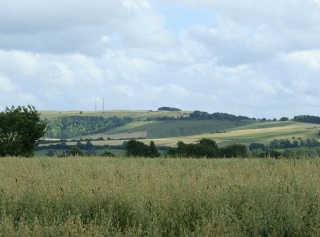 Stock, Wiltshire