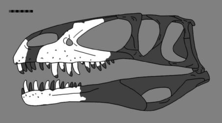 List of Middle Jurassic dinosaurs of Europe - FamousFix List