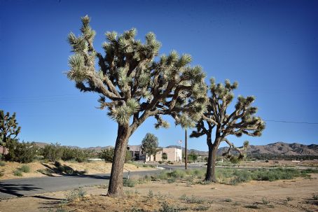 Yucca Valley, California