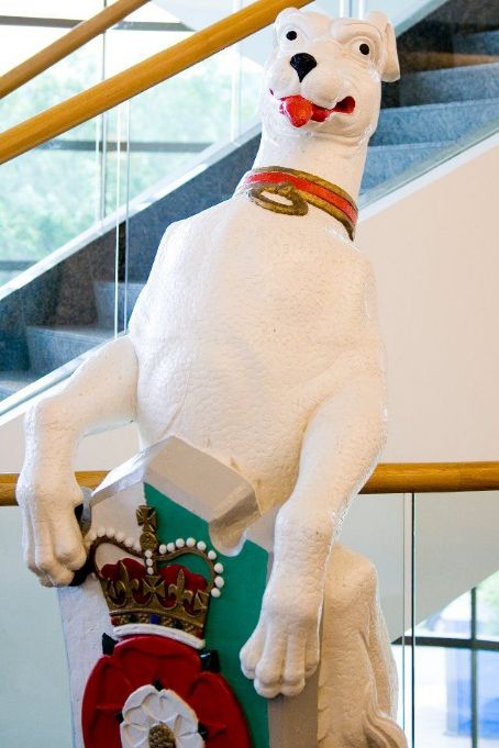 White Greyhound of Richmond