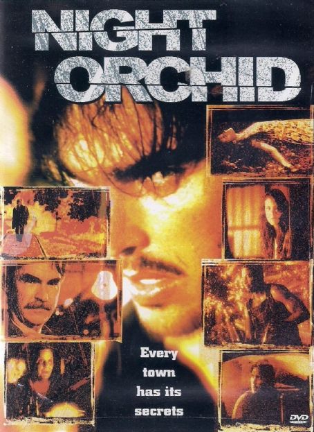 Night Orchid