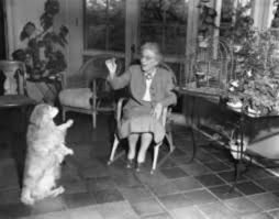 Lucy Wilson