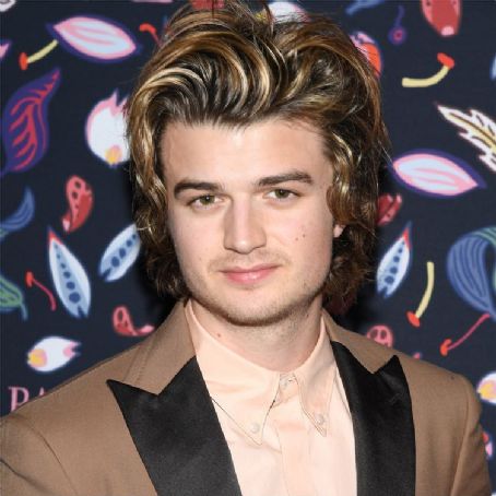 Who is Joe Keery dating? Joe Keery girlfriend, wife