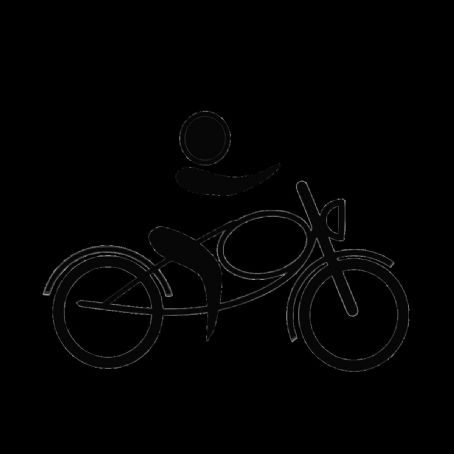 Motorcycle racing at the Summer Olympics