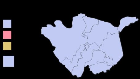 2020 Chini by-election