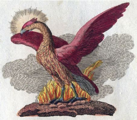 Phoenix (mythology)