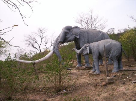Shivalik Fossil Park