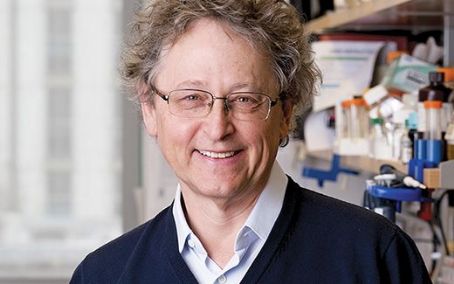 Michel C. Nussenzweig
