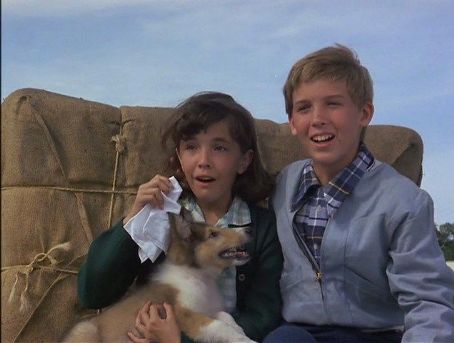 The New Adventures of Pippi Longstocking - Cory Crow - FamousFix