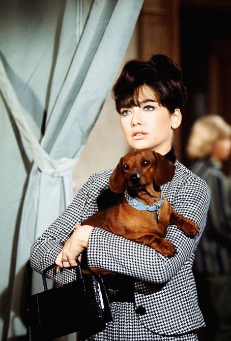 Suzanne Pleshette- as Fran Garrison