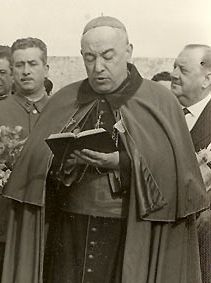 José Bueno y Monreal