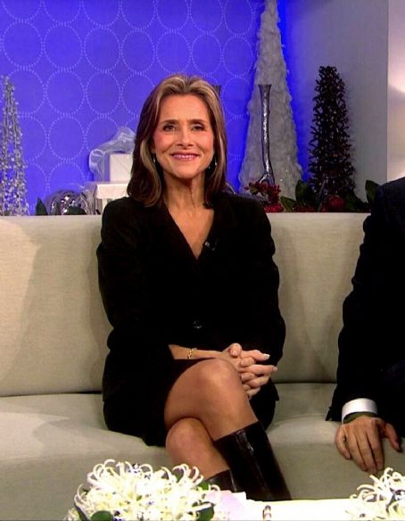 Meredith Vieira Fakes