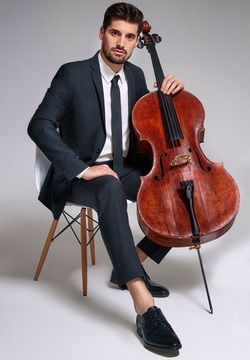 Luka Sulic
