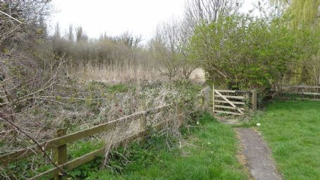 Spencer Road Wetlands