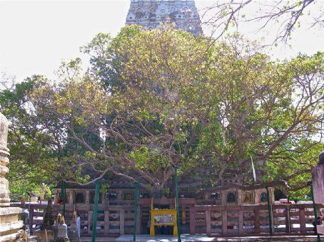 Bodh Gaya bombings