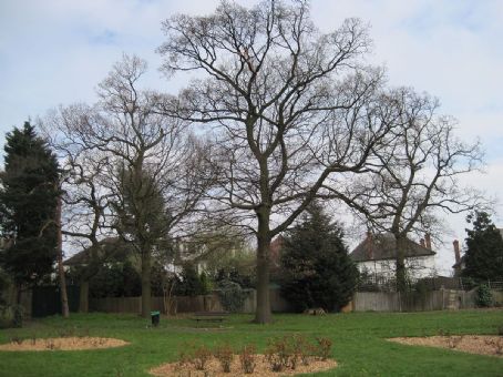 Princes Park, Temple Fortune